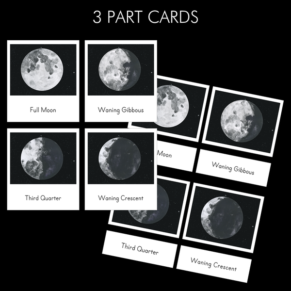 Phases of the Moon Montessori 3 Part Cards