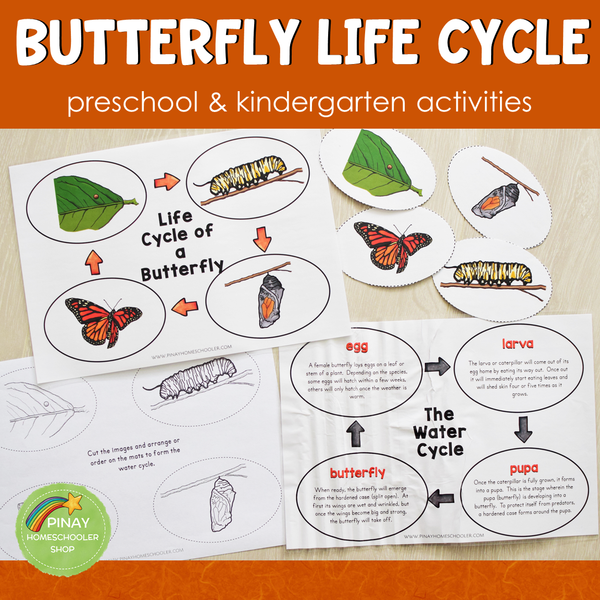 Butterfly Life Cycle Activity Set -Preschool & Kindergarten Science Centers