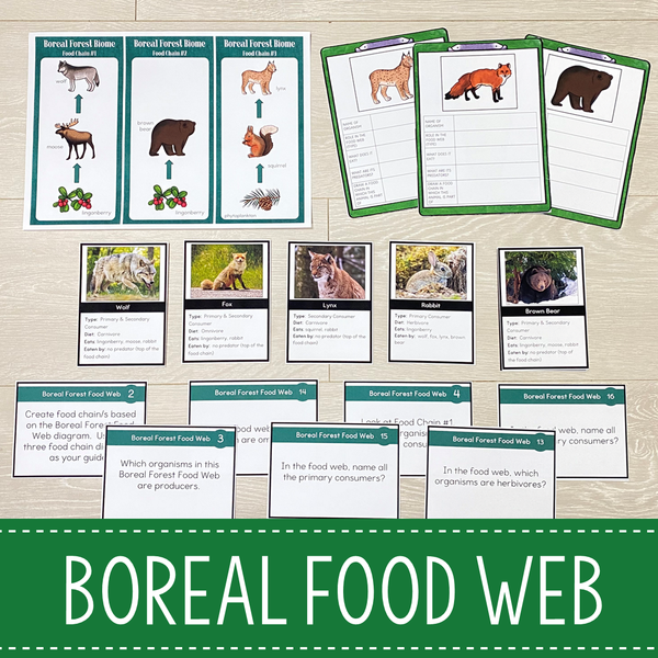 Boreal Forest Biome Food Web and Food Chains Learning Pack