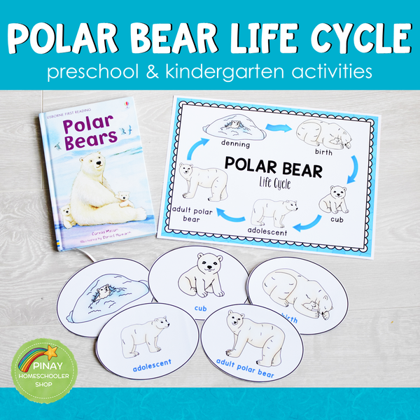 Polar Bear Life Cycle Activity Set: Preschool/ Kindergarten