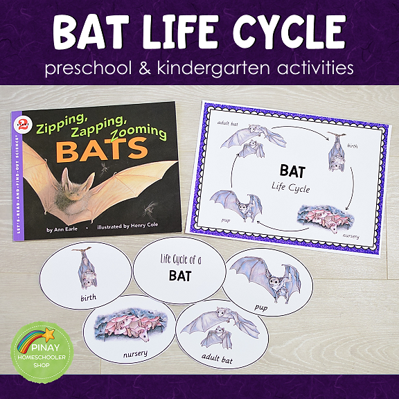 Bat Life Cycle Set - Preschool & Kindergarten