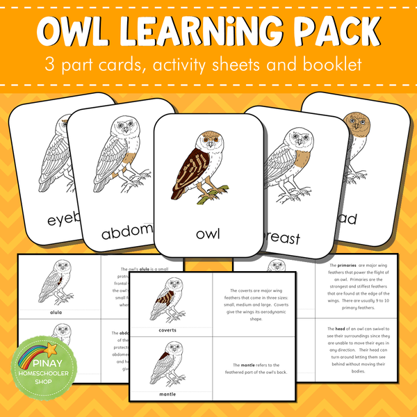 Montessori Parts of an Owl 3 Part Cards