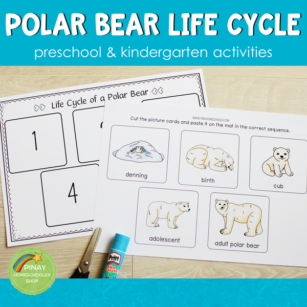 Polar Bear Life Cycle Activity Set: Preschool/ Kindergarten