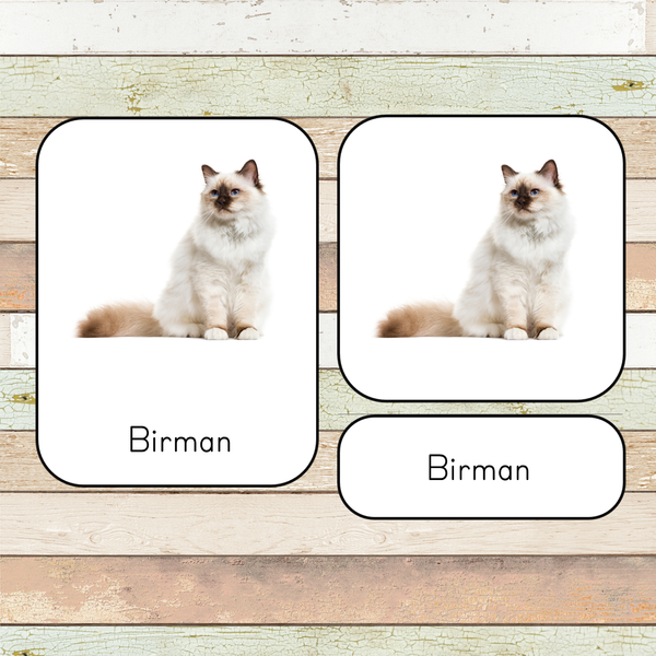 Montessori Cats Toob 3 Part Cards