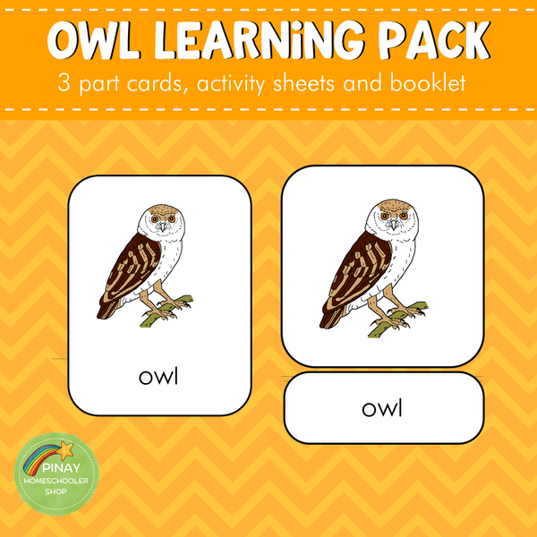 Montessori Parts of an Owl 3 Part Cards