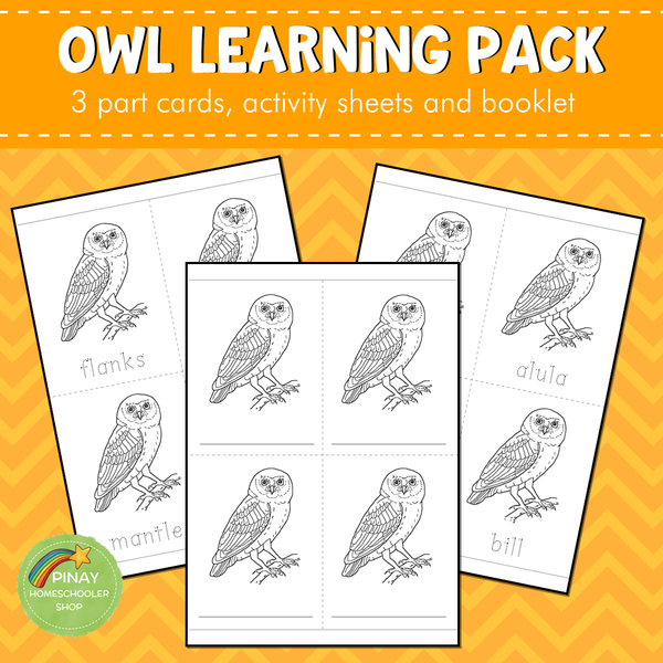 Montessori Parts of an Owl 3 Part Cards