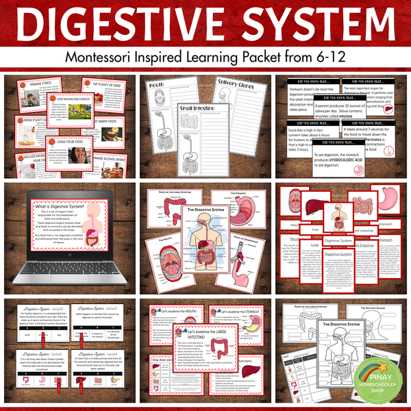 Montessori Inspired Digestive System Learning Packet