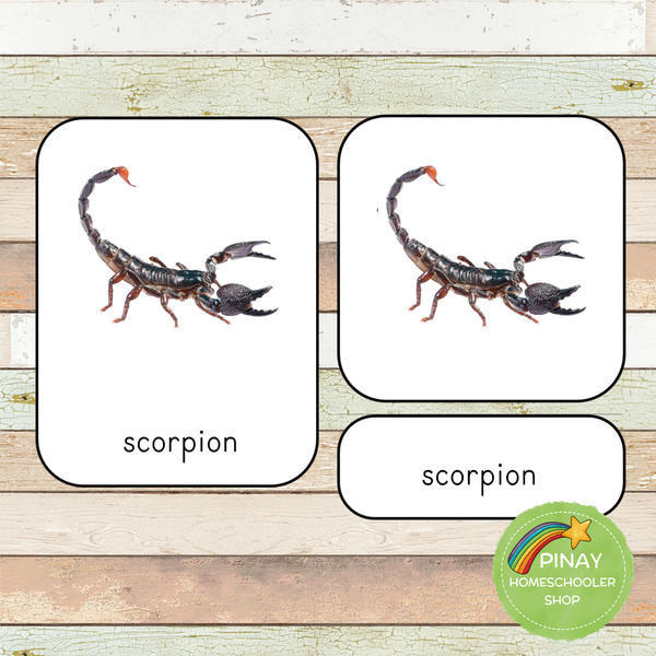 Montessori Desert Animals Toob 3 Part Cards