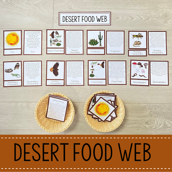 Desert Biome Food Web and Food Chains Learning Pack