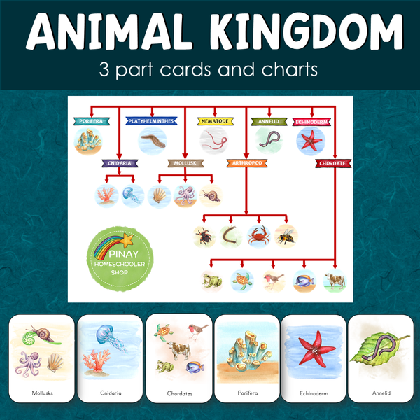 Animal Kingdom 3 Part Cards and Charts
