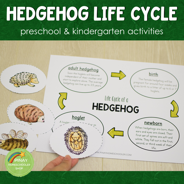 Hedgehog Life Cycle Set - Preschool & Kindergarten Science Centers