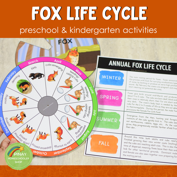 Life Cycle of a Fox Montessori Inspired