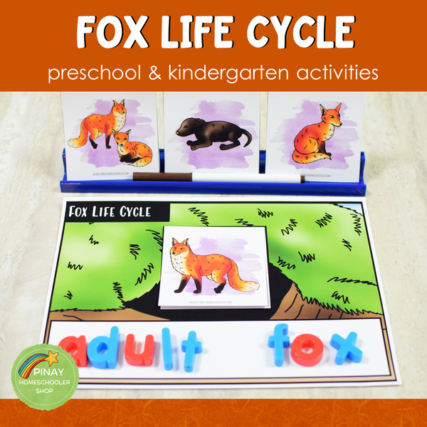 Life Cycle of a Fox Montessori Inspired