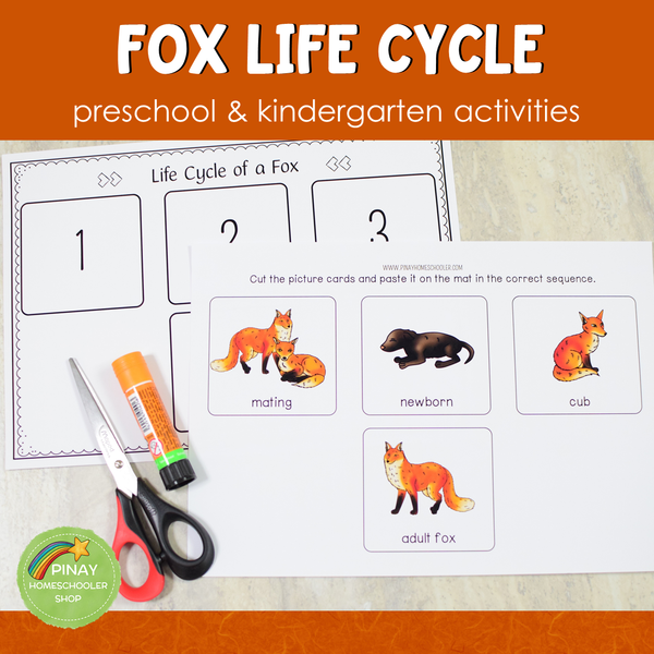 Life Cycle of a Fox Montessori Inspired