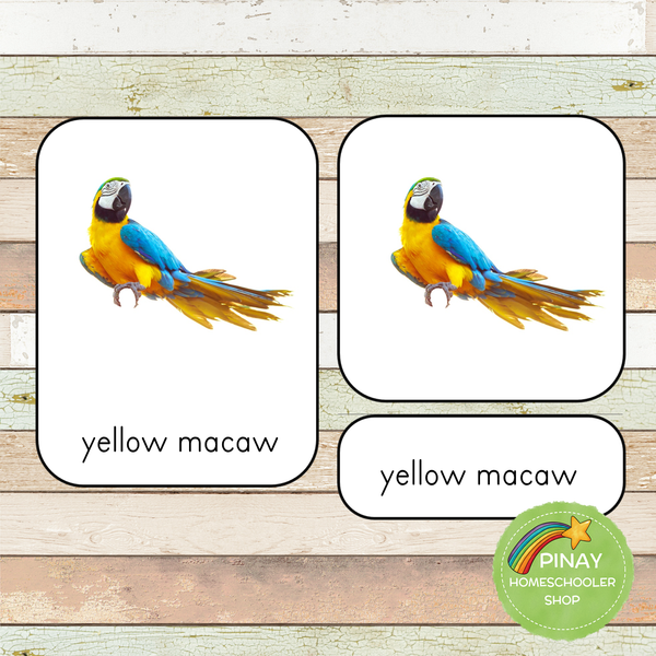Montessori Exotic Birds Toob 3 Part Cards
