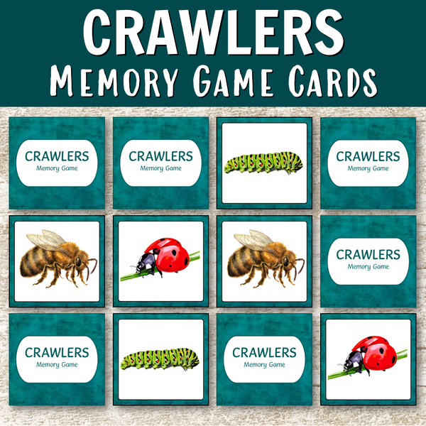 Memory Games Bundle