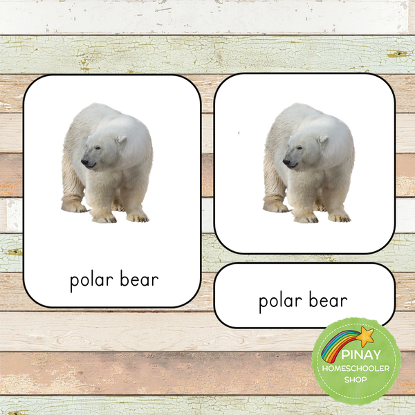 Montessori Arctic Toob 3 Part Cards