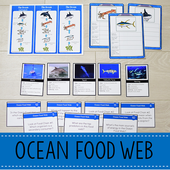 Ocean Biome Food Web and Food Chains Learning Pack