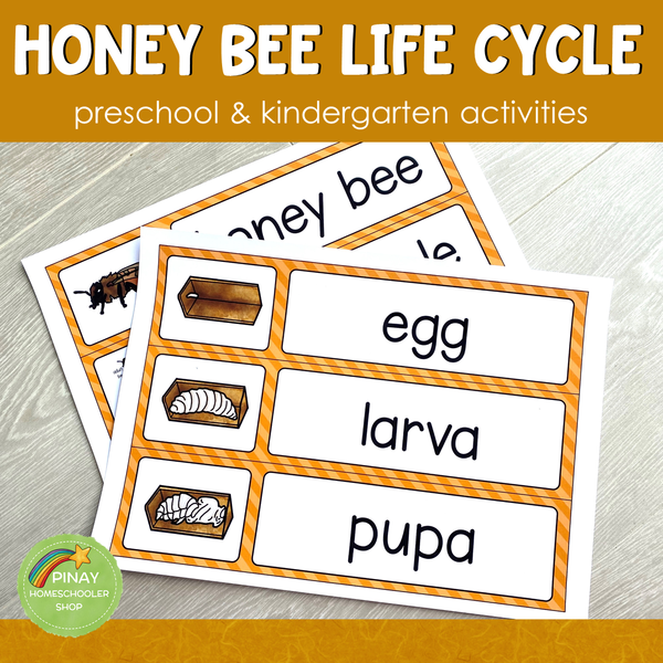 Honey Bee Life Cycle Set - Preschool & Kindergarten Science Centers