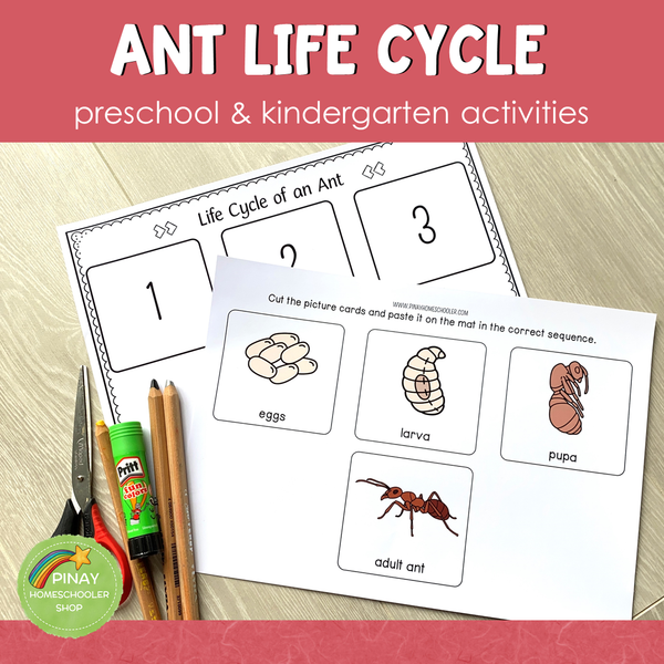 Ant Life Cycle Activity Set