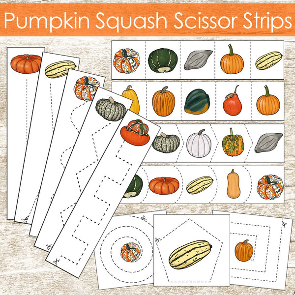 Scissor Cutting Skills Set - Ultimate Collection