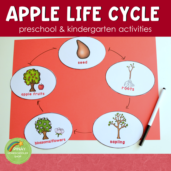 Apple Life Cycle Set -Preschool & Kindergarten Science Centers