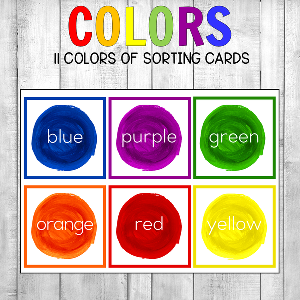 Montessori Color Sorting Cards Real Photos