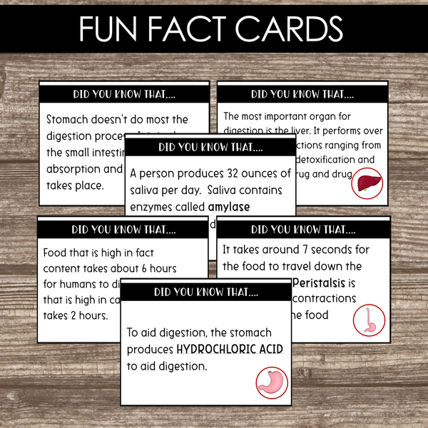 Montessori Inspired Digestive System Learning Packet