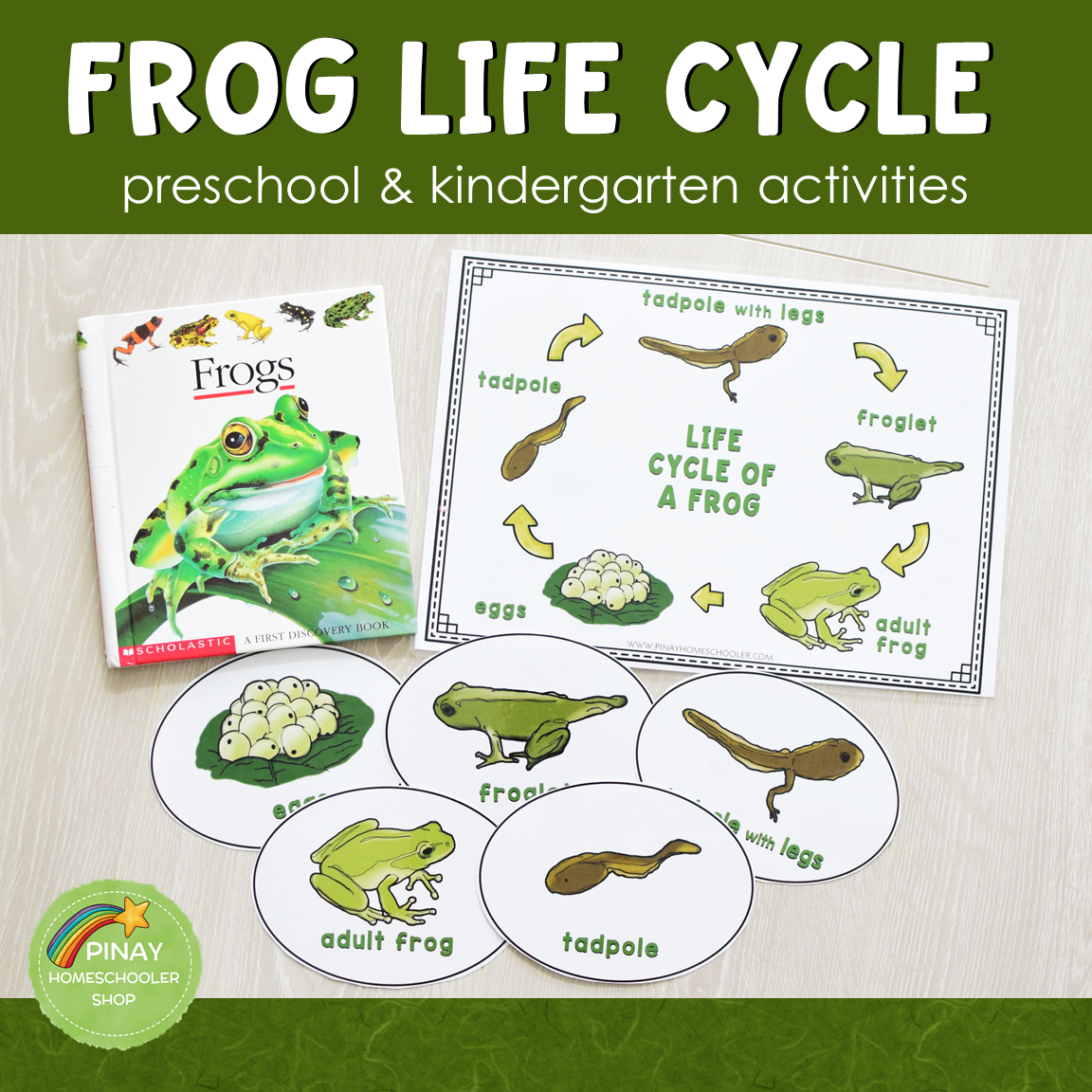 Frog Life Cycle Activity Set Preschool Kindergarten Science Centers