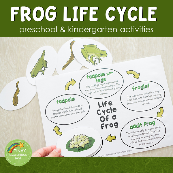 Frog Life Cycle Activity Set -Preschool & Kindergarten Science Centers