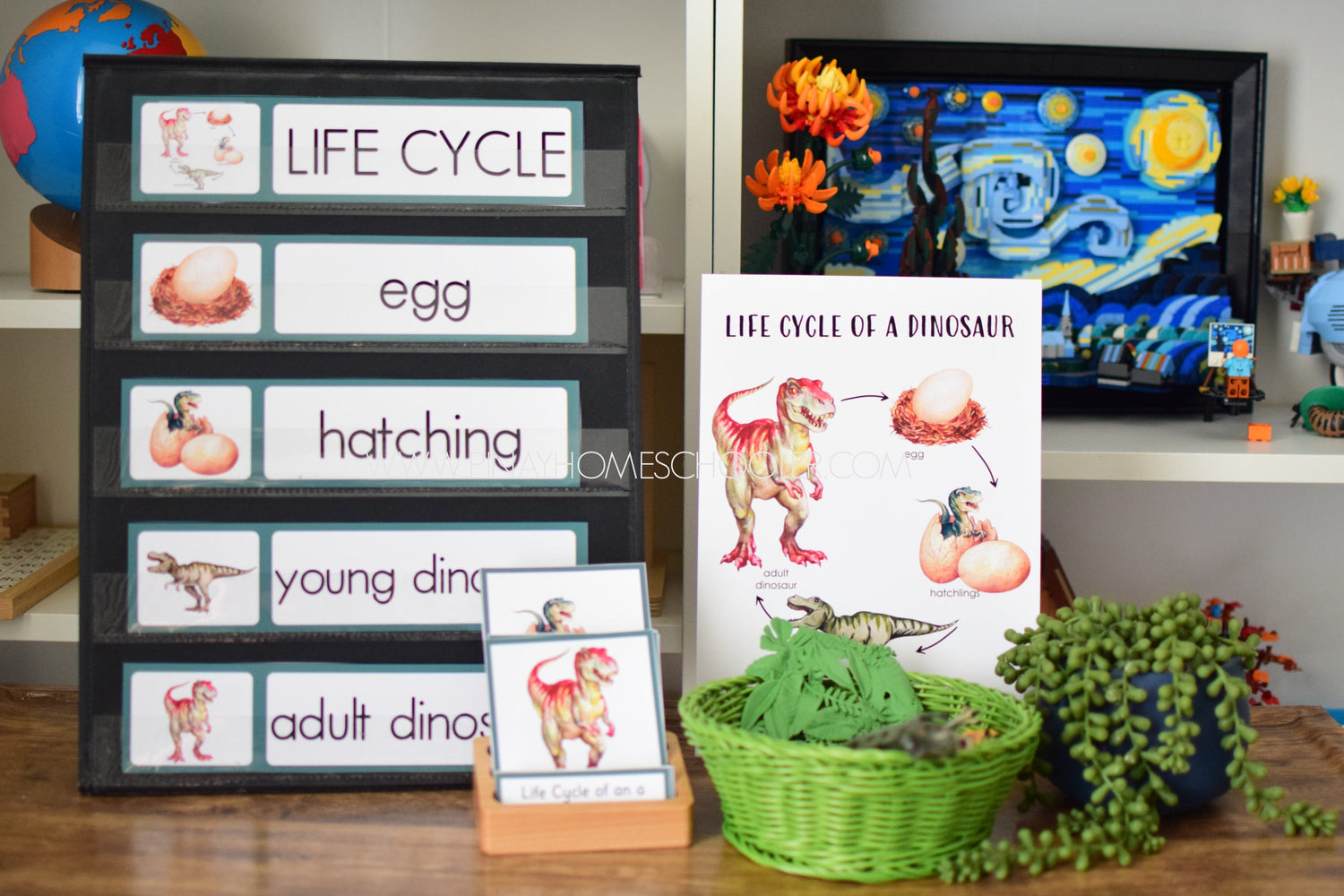 Montessori Life Cycle of a Dinosaur