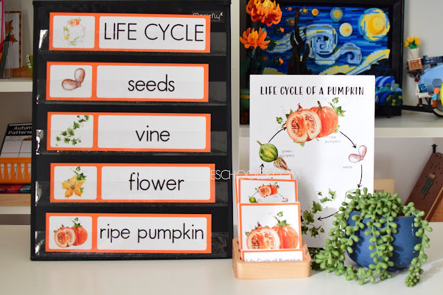 Montessori Inspired Pumpkin Life Cycle