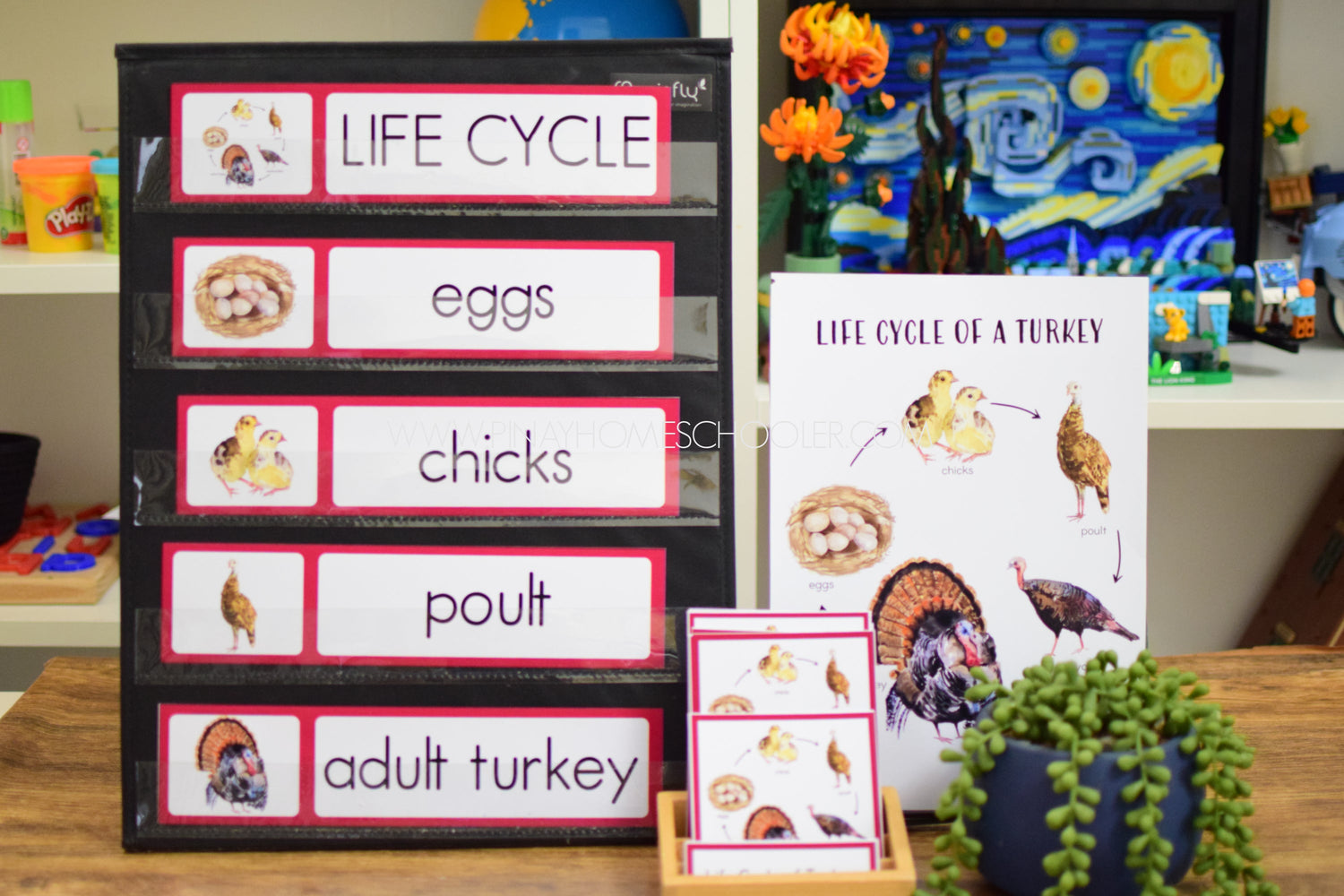 Montessori Inspired Life Cycle of Turkey