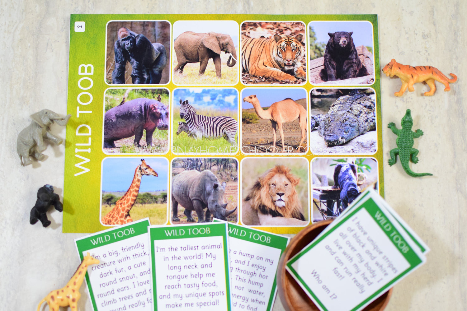 Safari Wild Toob Activity Pack Upgrade