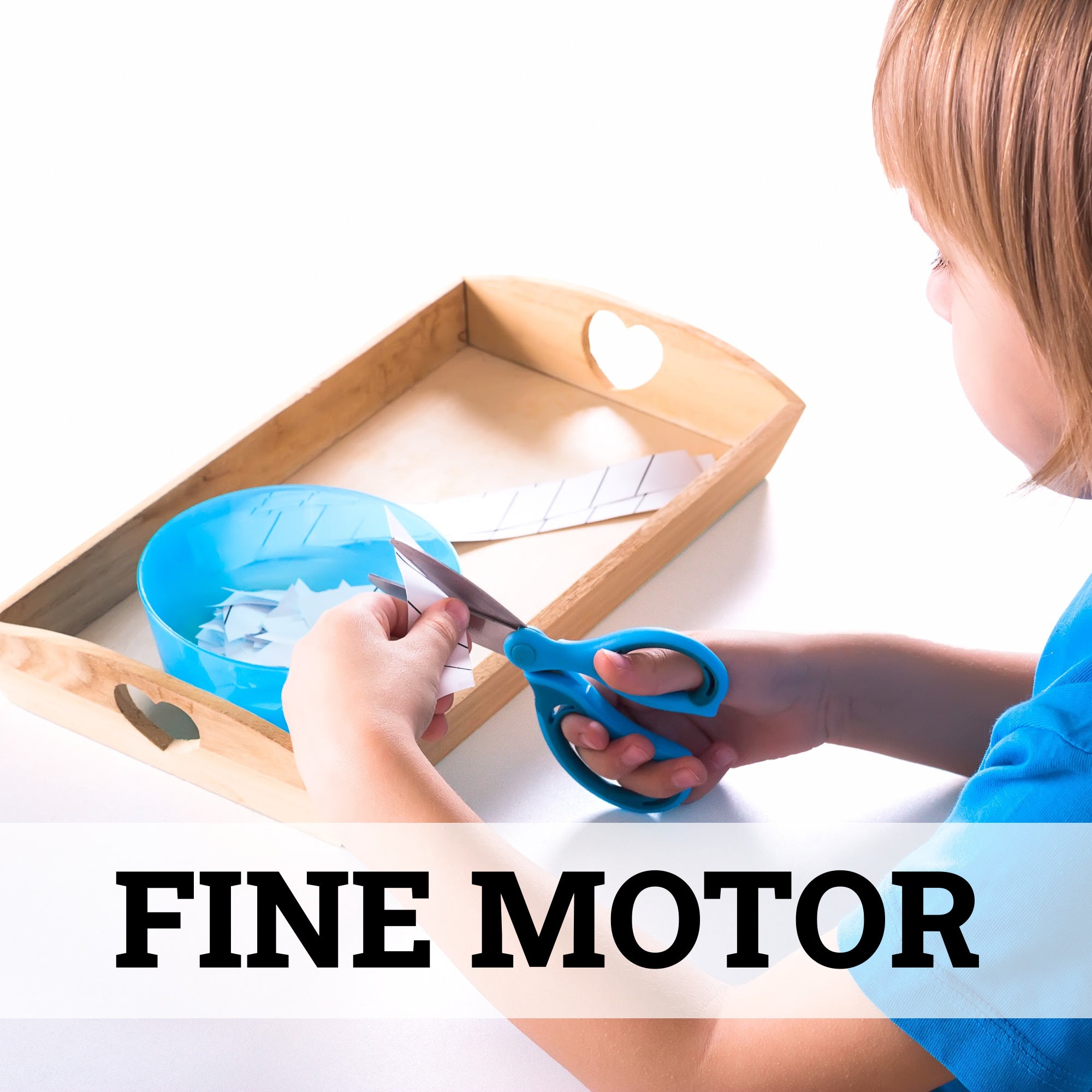 Fine Motor Skills