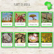 Plants of Africa Montessori 3 Part Cards