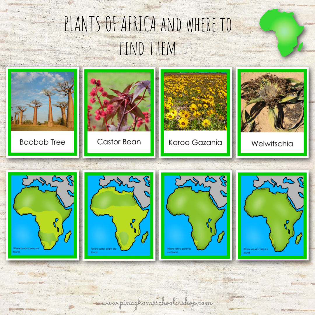 Plants of Africa Montessori 3 Part Cards
