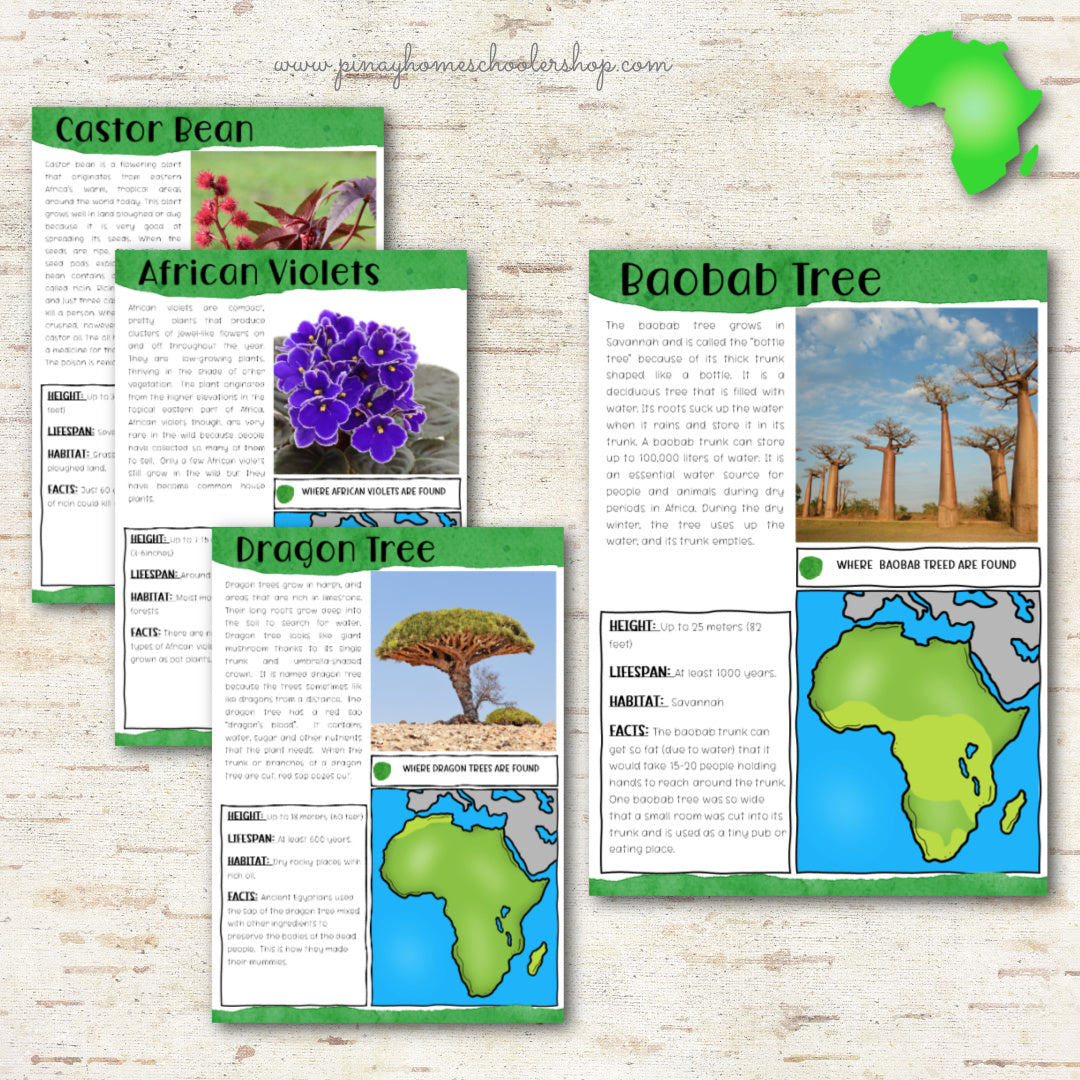 Plants of Africa Montessori 3 Part Cards