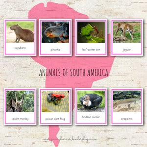 Animals of South America Montessori 3 Part Cards and Fact Cards