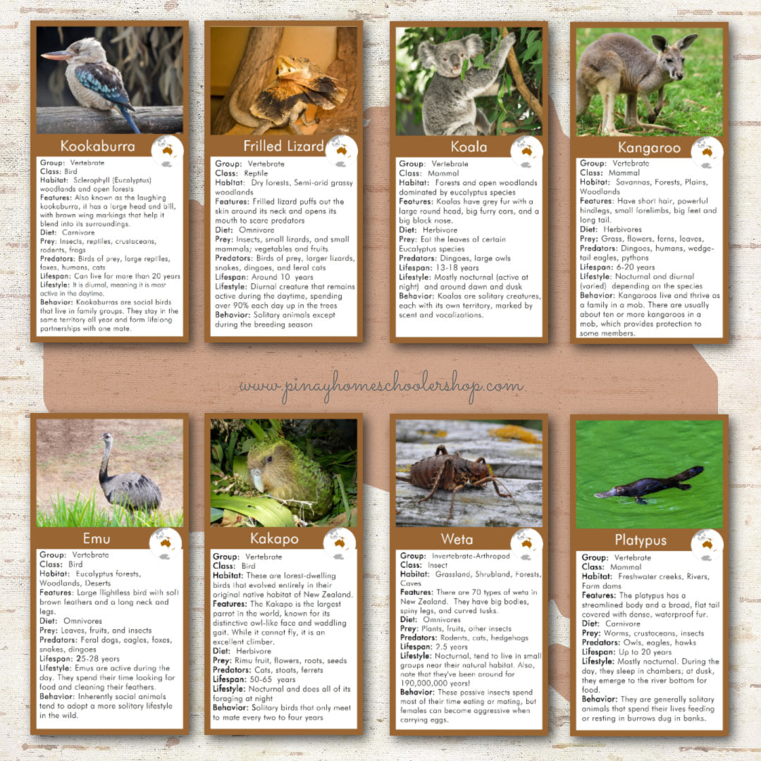 Animals of Australia Montessori 3 Part Cards and Fact Cards