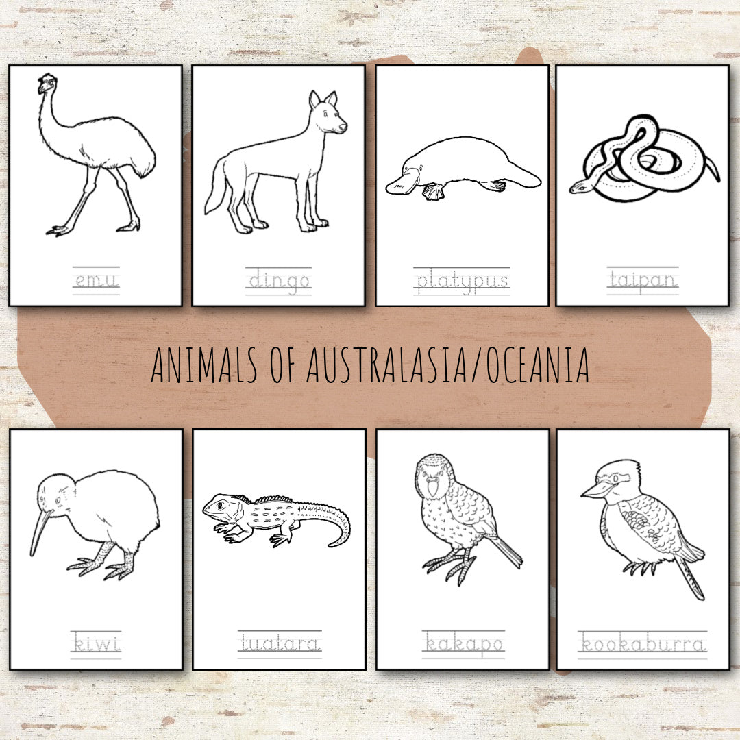 Animals of Australia Montessori 3 Part Cards and Fact Cards