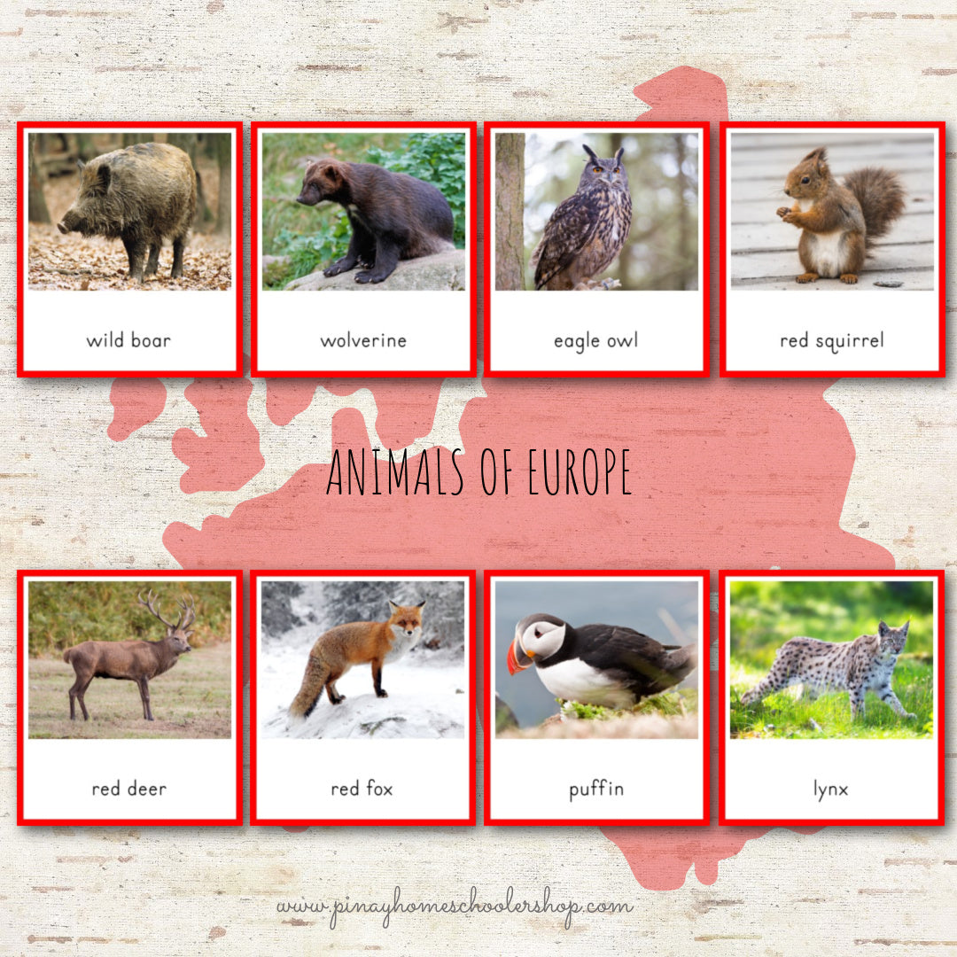 Animals of Europe Montessori 3 Part Cards and Fact Cards