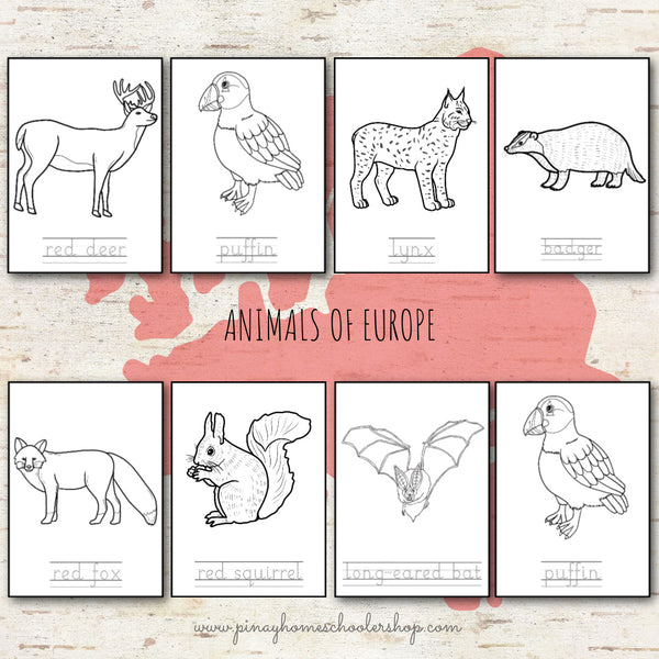 Animals of Europe Montessori 3 Part Cards and Fact Cards