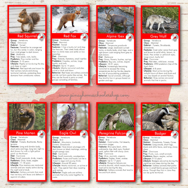 Animals of Europe Montessori 3 Part Cards and Fact Cards