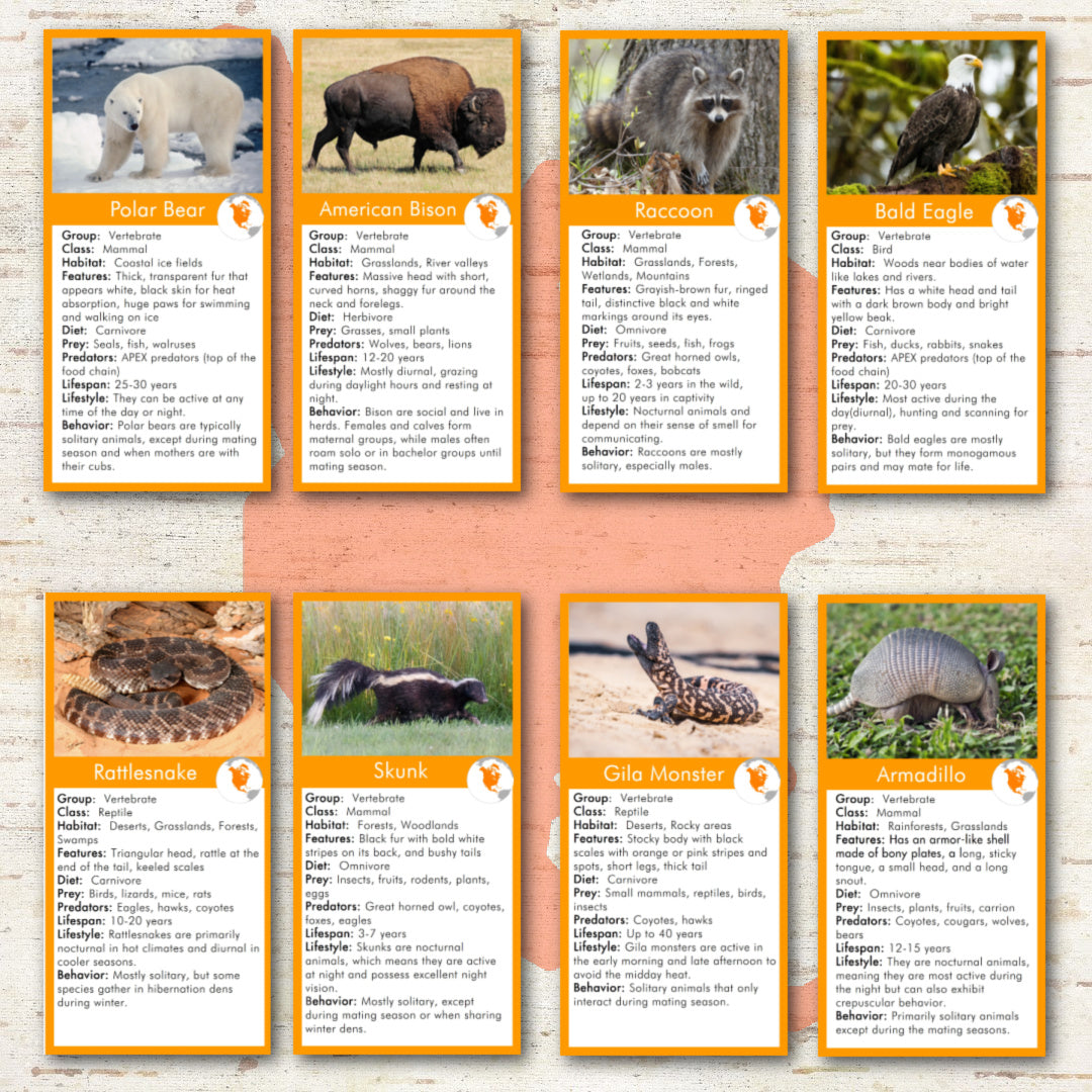 Animals of North America Montessori  3 Part Cards and Fact Cards