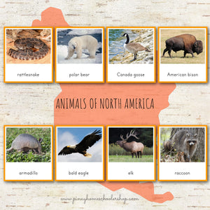 Animals of North America Montessori  3 Part Cards and Fact Cards