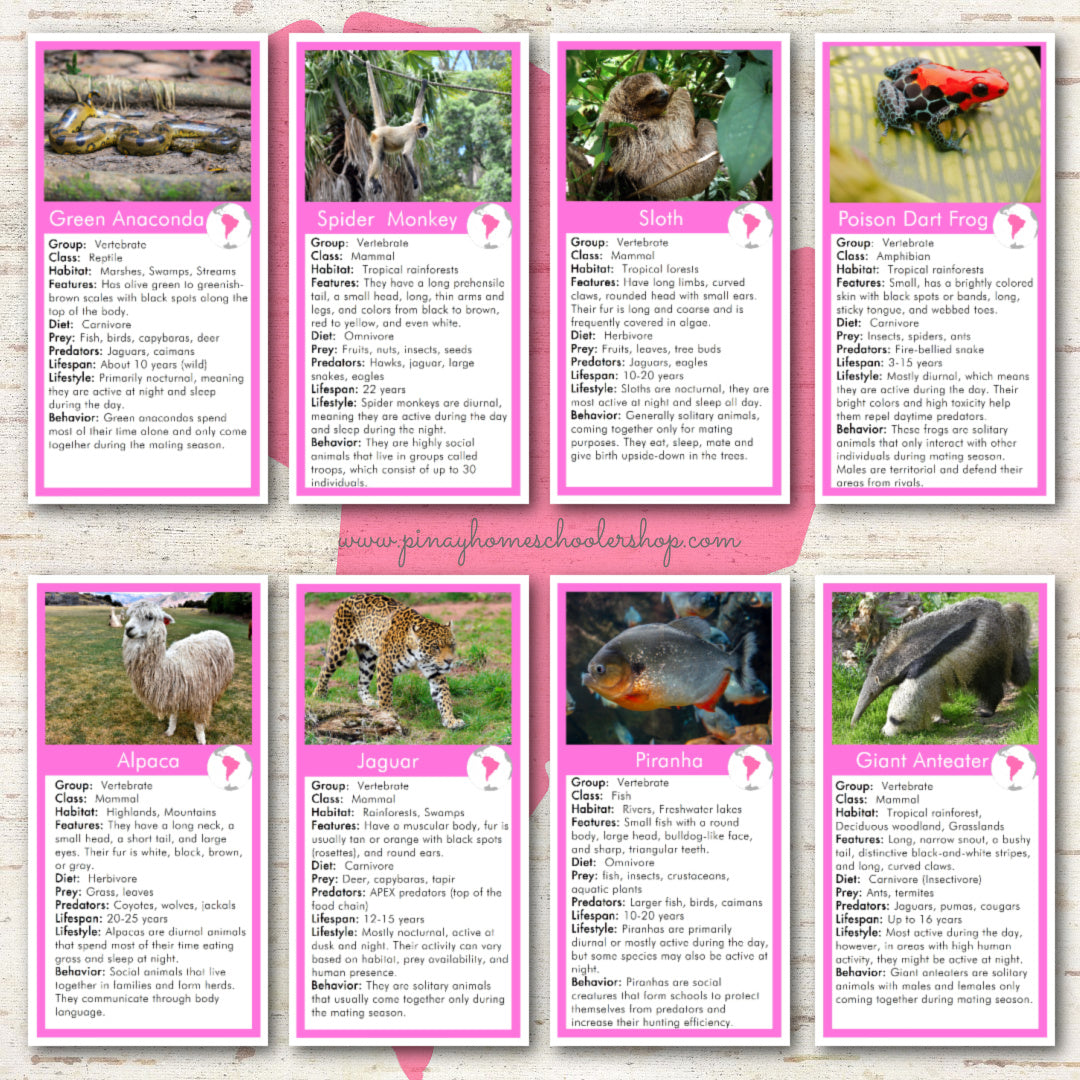 Animals of South America Montessori 3 Part Cards and Fact Cards