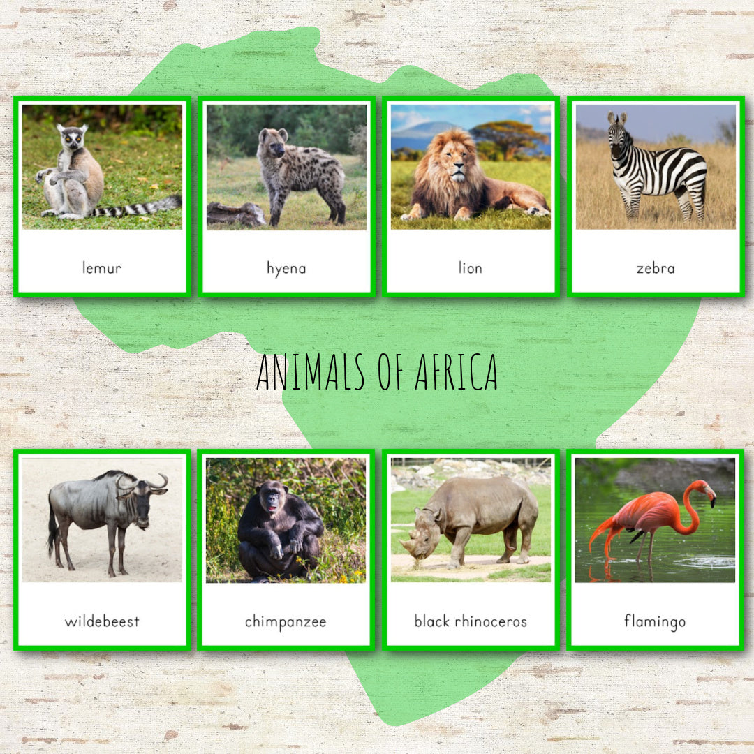 Animals of Africa Montessori  3 Part Cards with Fact Cards