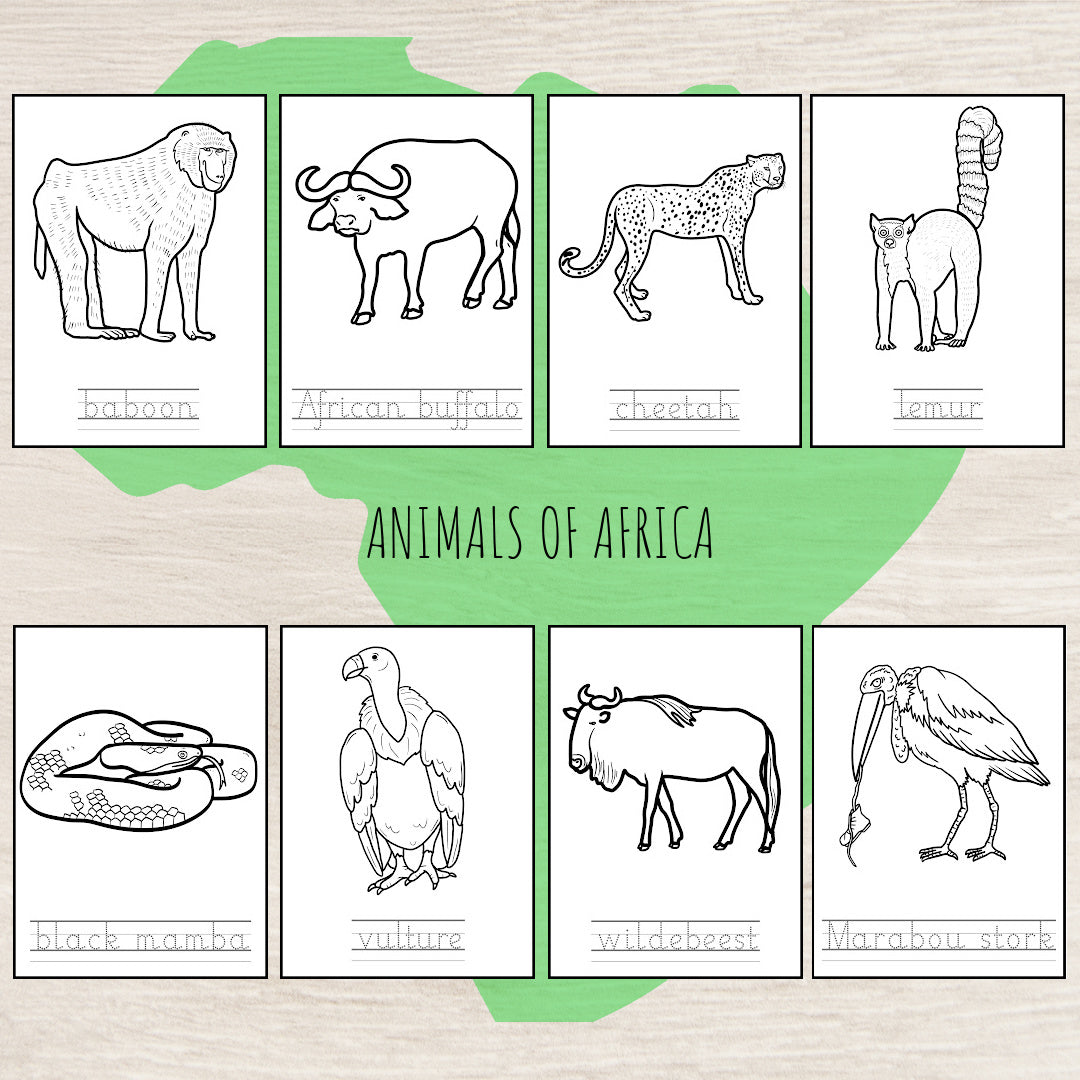 Animals of Africa Montessori  3 Part Cards with Fact Cards