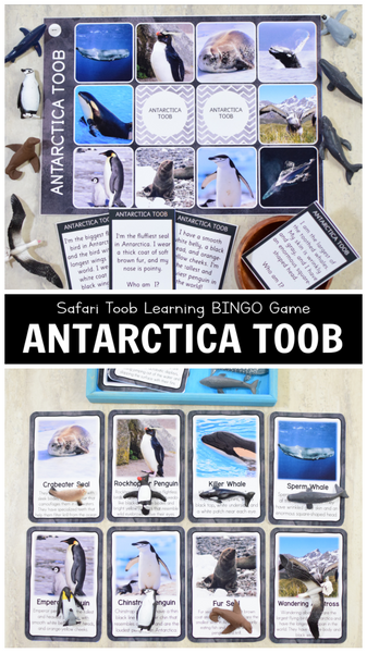 Safari Antarctica Toob Bingo Game and Fact Cards